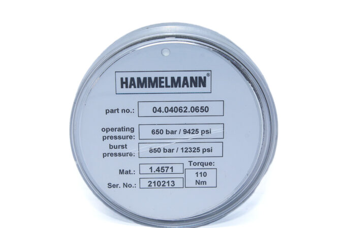 HAMMELMANN 04.04062.0650 RUPTURE DISC